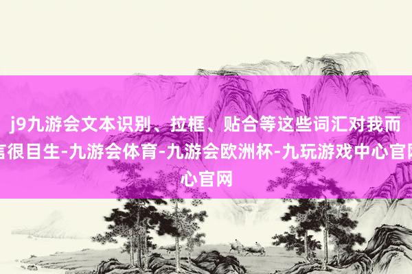 j9九游会文本识别、拉框、贴合等这些词汇对我而言很目生-九游会体育-九游会欧洲杯-九玩游戏中心官网