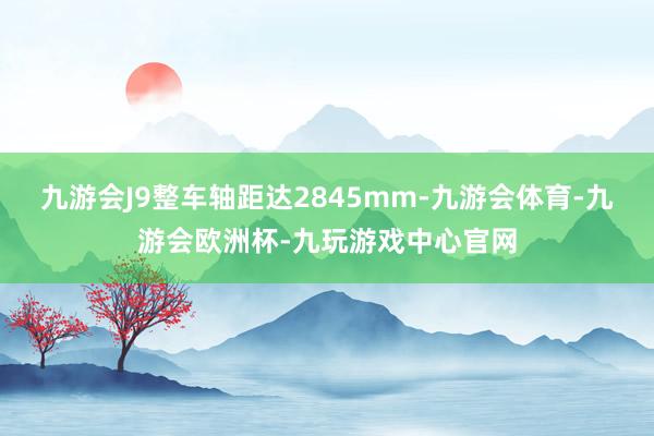 九游会J9整车轴距达2845mm-九游会体育-九游会欧洲杯-九玩游戏中心官网